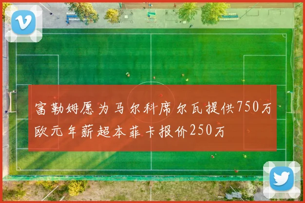 富勒姆愿为马尔科席尔瓦提供750万欧元年薪超本菲卡报价250万